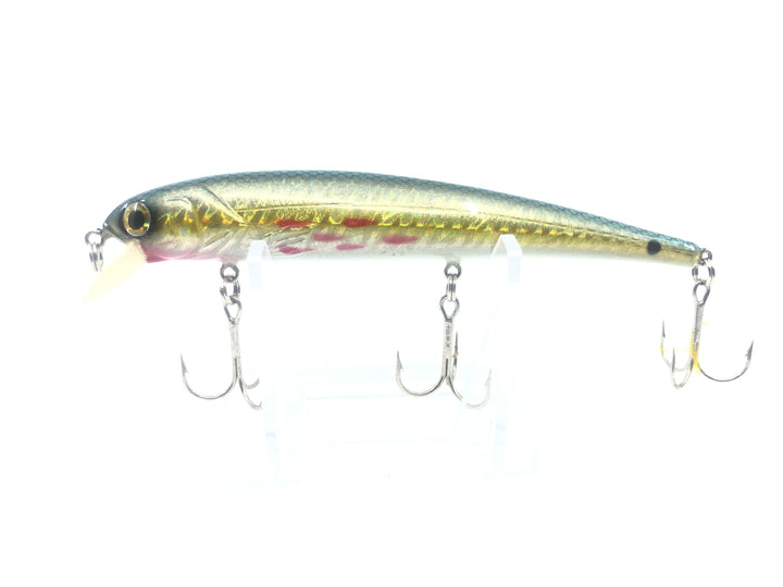 Trout Colored Minnow