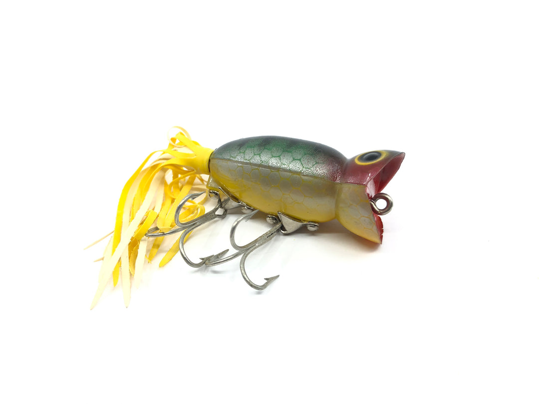 Arbogast Hula Popper Perch Color