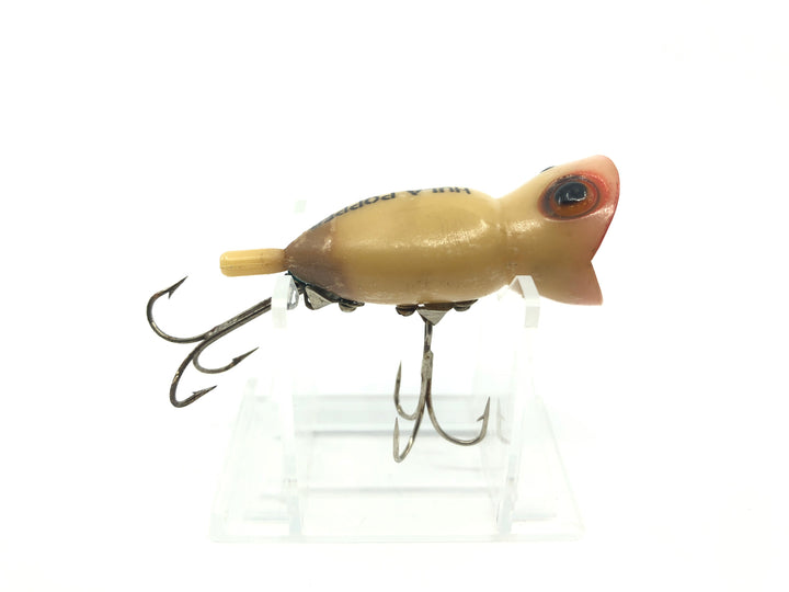 Arbogast Hula Popper Luminous Color