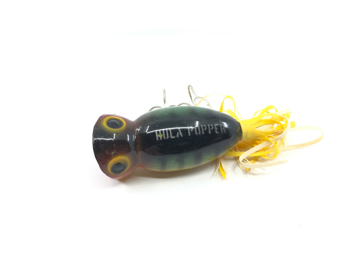 Arbogast Hula Popper Perch Color