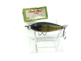 Creek Chub Wooden Spinning Injured Minnow with Box Perch Color