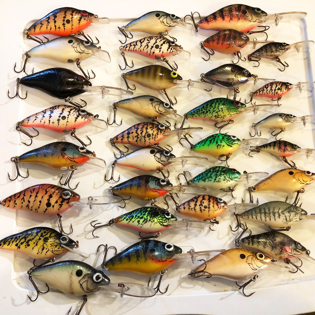 Lazy Ike Natural Ikes Huge Assortment to Choose From